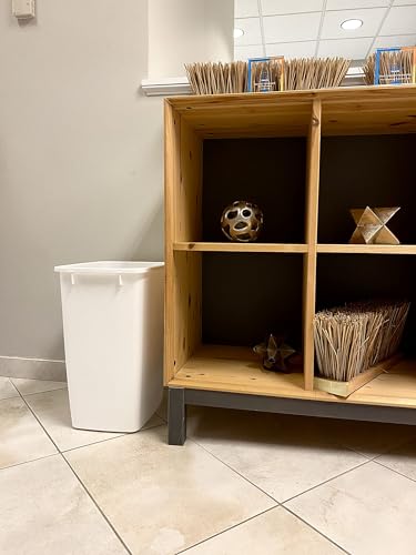 Minimalist Rubbermaid Small Kitchen Bathroom Trash Can, 9 Gallons, White, Waste Collection