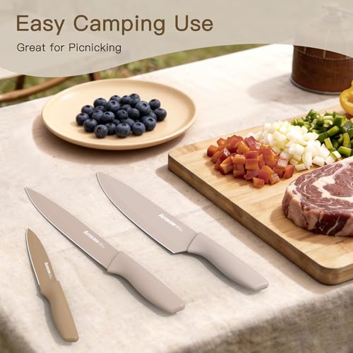 Modern Astercook Knife Set, 13 Pieces Kitchen Knives for Daily Use